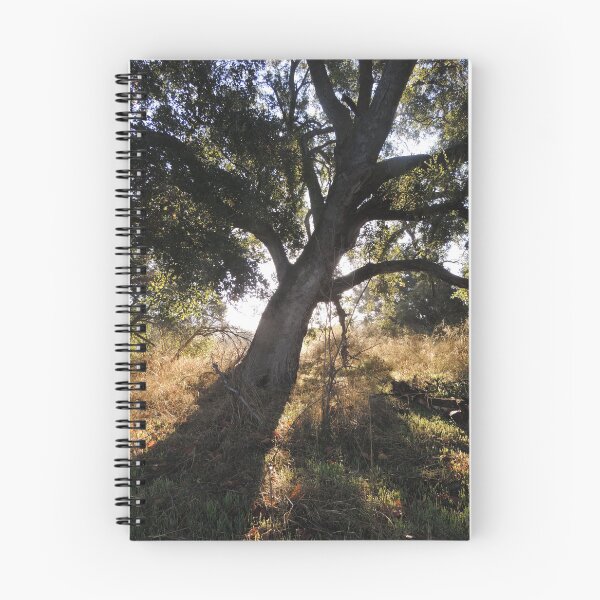 Item preview, Black Star Oak Tree designed and sold by Robert Ball.