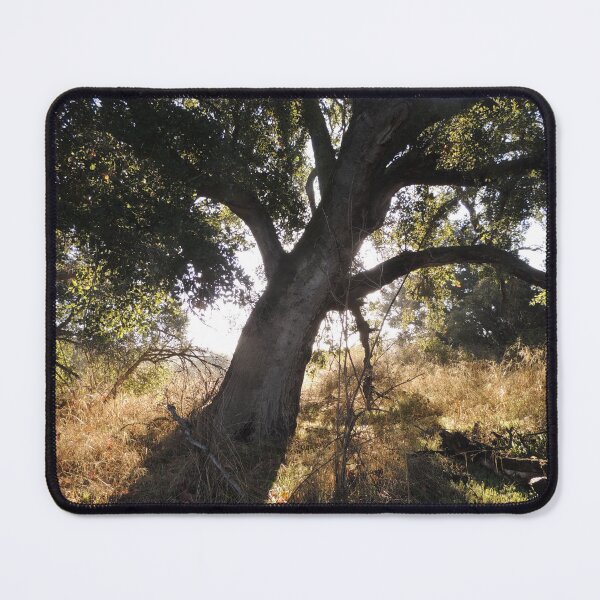 Item preview, Black Star Oak Tree designed and sold by Robert Ball.