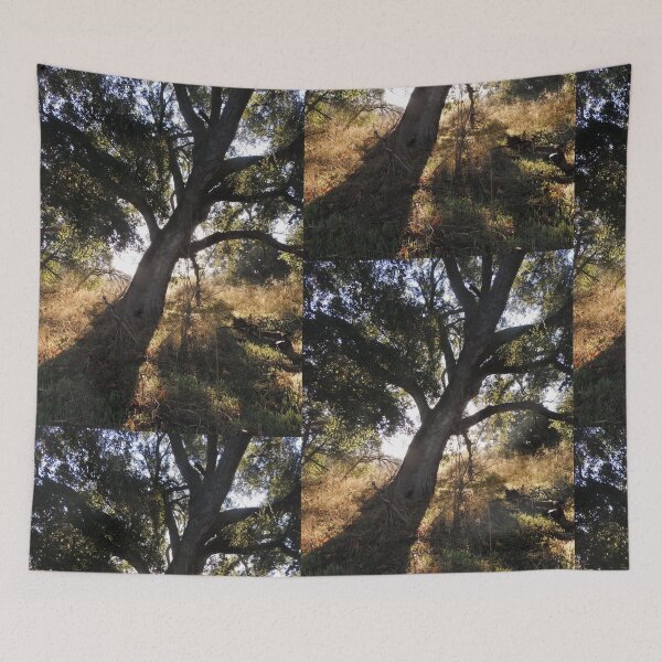 Item preview, Black Star Oak Tree designed and sold by Robert Ball.