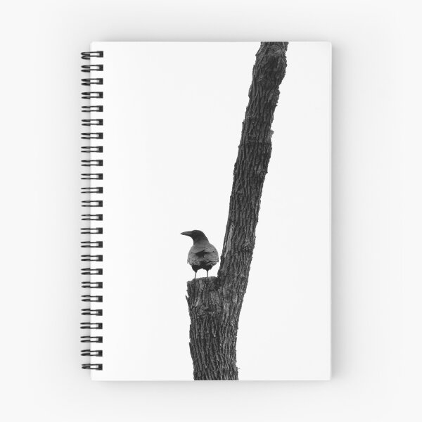 Item preview, Perfect Placement designed and sold by Robert Ball.