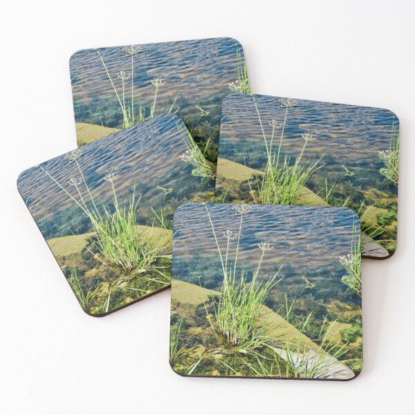Item preview, Weeds in the river designed and sold by Shulie1.