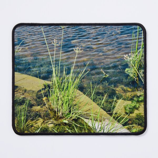 Item preview, Weeds in the river designed and sold by Shulie1.