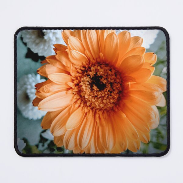 Item preview, Tangerine Gerbera designed and sold by TavStone.