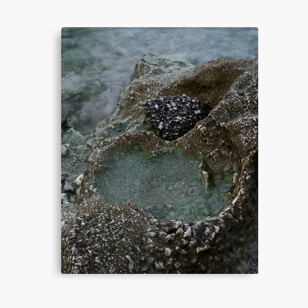 Item preview, pool designed and sold by ankacebula.