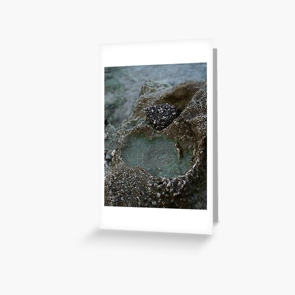 Item preview, pool designed and sold by ankacebula.
