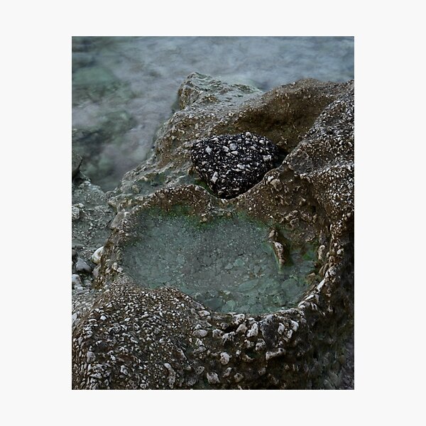 Item preview, pool designed and sold by ankacebula.
