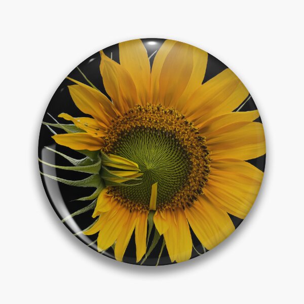 Item preview, Field Guide to Sunflowers, No. 8, Blooming Flower  designed and sold by Kristi Duggins.
