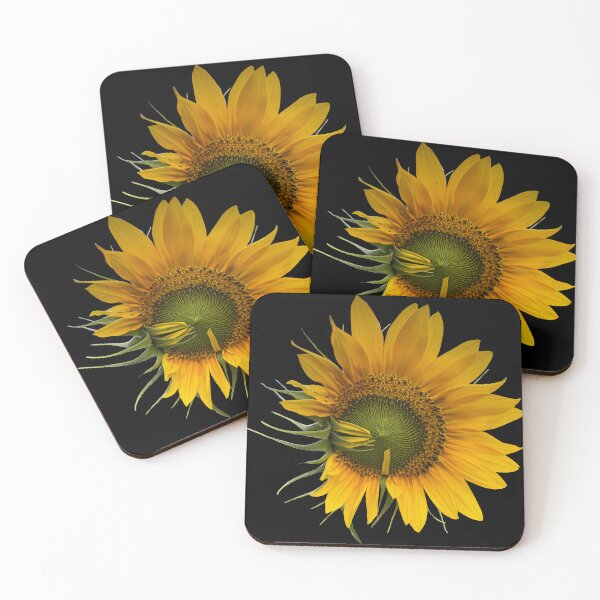 Item preview, Field Guide to Sunflowers, No. 8, Blooming Flower  designed and sold by Kristi Duggins.