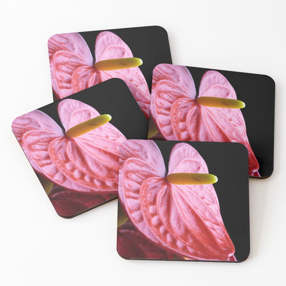 Item preview, Coasters (Set of 4) designed and sold by Raphoto1.