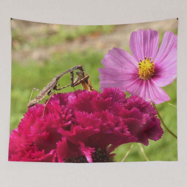 Item preview, Praying Mantis Dining on a Moth designed and sold by Frankie Cat Photography.