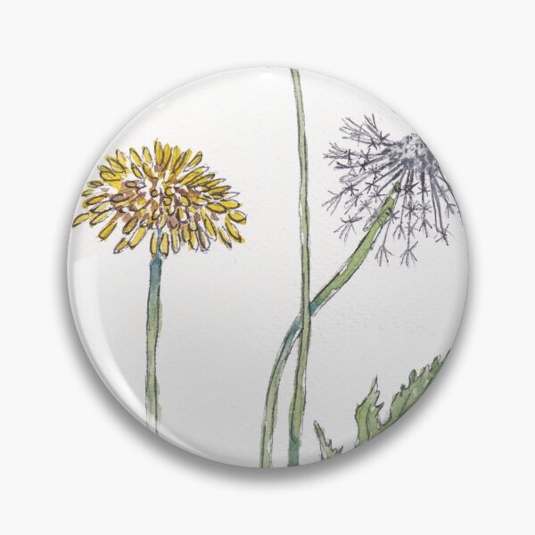 Artikelvorschau, Taraxacum officinale (Löwenzahn) - Botanische Illustration entworfen und verkauft von Maree Clarkson .