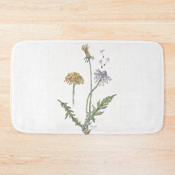 Item preview, Taraxacum officinale (Dandelion) - Botanical illustration designed and sold by Maree Clarkson .