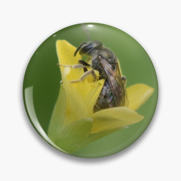 Item preview, Small wonders 2022 designed and sold by Tonia Delozier's Photography .