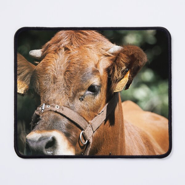 Item preview, Veal designed and sold by luilli.