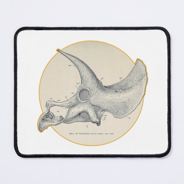 Item preview, Triceratops Dinosaur Skull - Cool Designed Dino designed and sold by AlanPhotoArt.