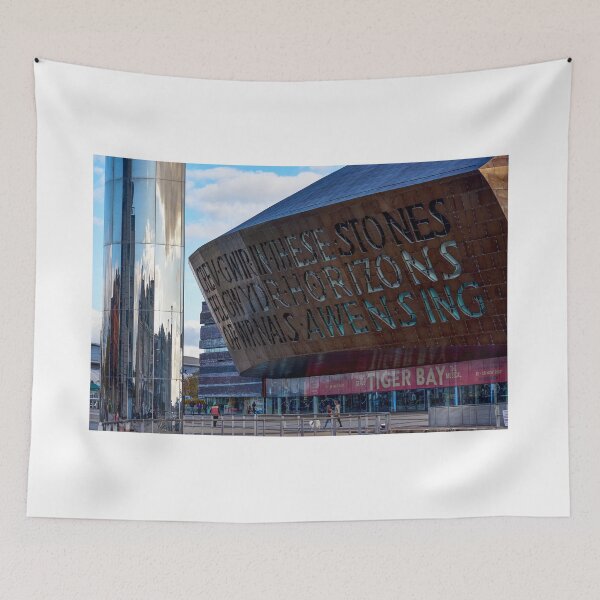 Item preview, Millennium Centre, Cardiff Bay, Cardiff, Wales designed and sold by VnGphoto.