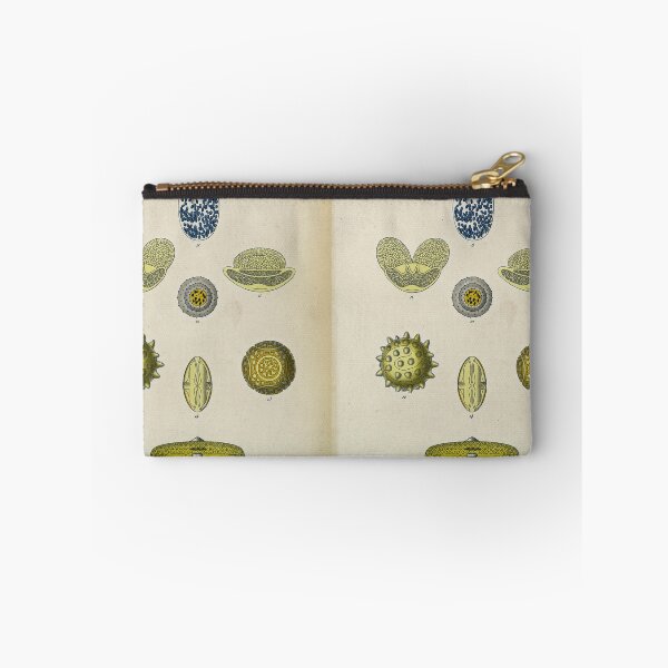 Item preview, Pollen, plate 12 designed and sold by Lloyd Library & Museum.