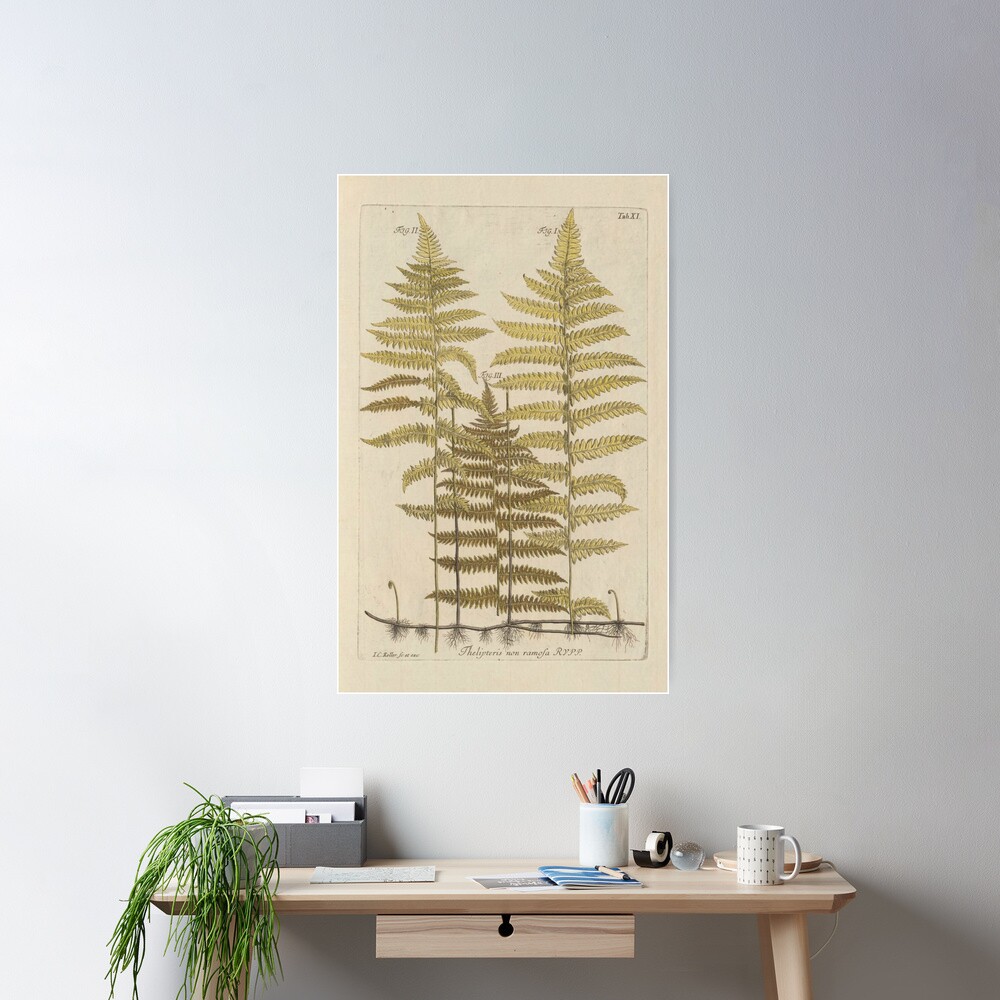 Vintage Fern Botanical Poster