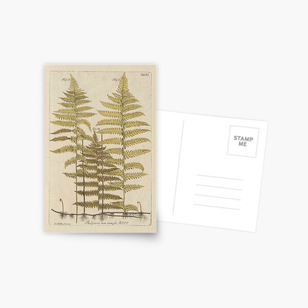 Item preview, Vintage Fern Botanical designed and sold by BlueSpecsStudio.