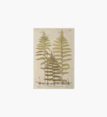 Vintage Farn botanisch Galeriedruck