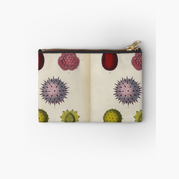 Item preview, Pollen, plate 14 designed and sold by Lloyd Library & Museum.