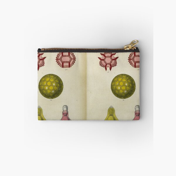 Item preview, Pollen, plate 15 designed and sold by Lloyd Library & Museum.