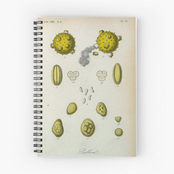 Artikelvorschau, Pollen, Platte 10 entworfen und verkauft von Lloyd Library & Museum.