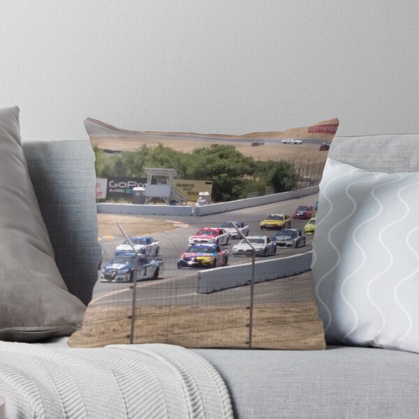 Item preview, Pace lap designed and sold by Mininascar.