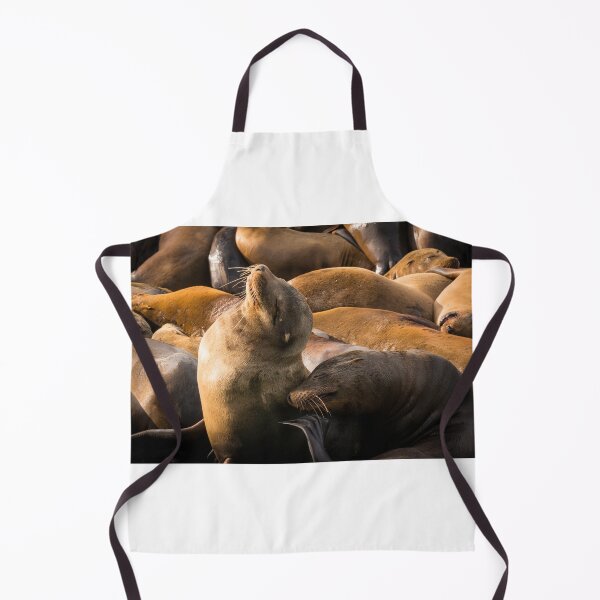Item preview, Seals at Pier 39, San Francisco, California, USA designed and sold by antonium.
