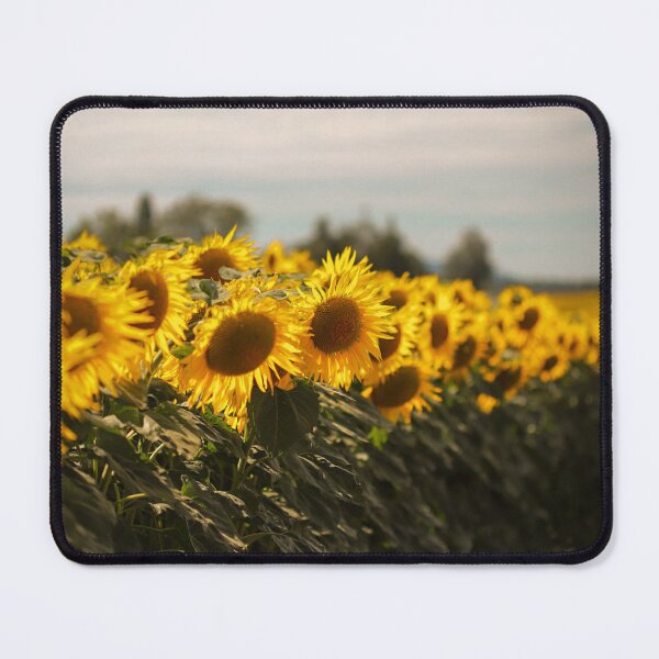 Item preview, Yellow Sunflower field designed and sold by DeVeauDesign.