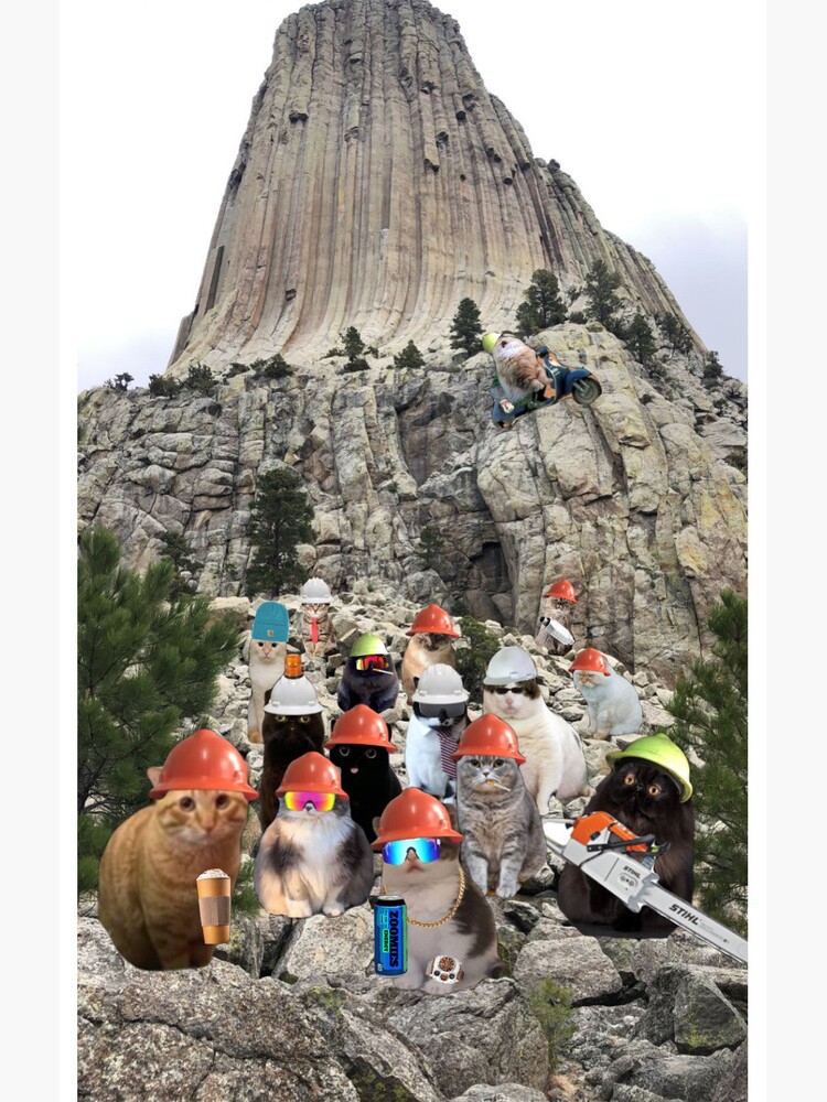 Thumbnail 4 of 4, Samsung Galaxy Phone Case, Crew Photo Phone Case designed and sold by Catwithhardhat.
