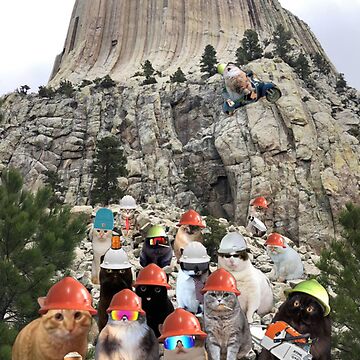 Artwork thumbnail, Crew Photo Phone Case by Catwithhardhat