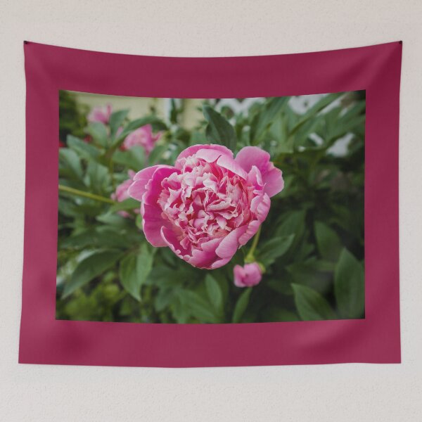 Item preview, Pink Peony in Spring designed and sold by Carly-Chapman.