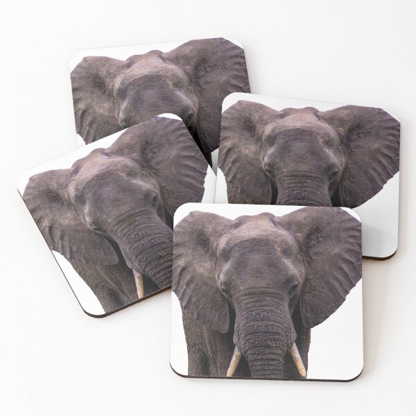 Item preview, An elephant facing the camera designed and sold by YaseenM.