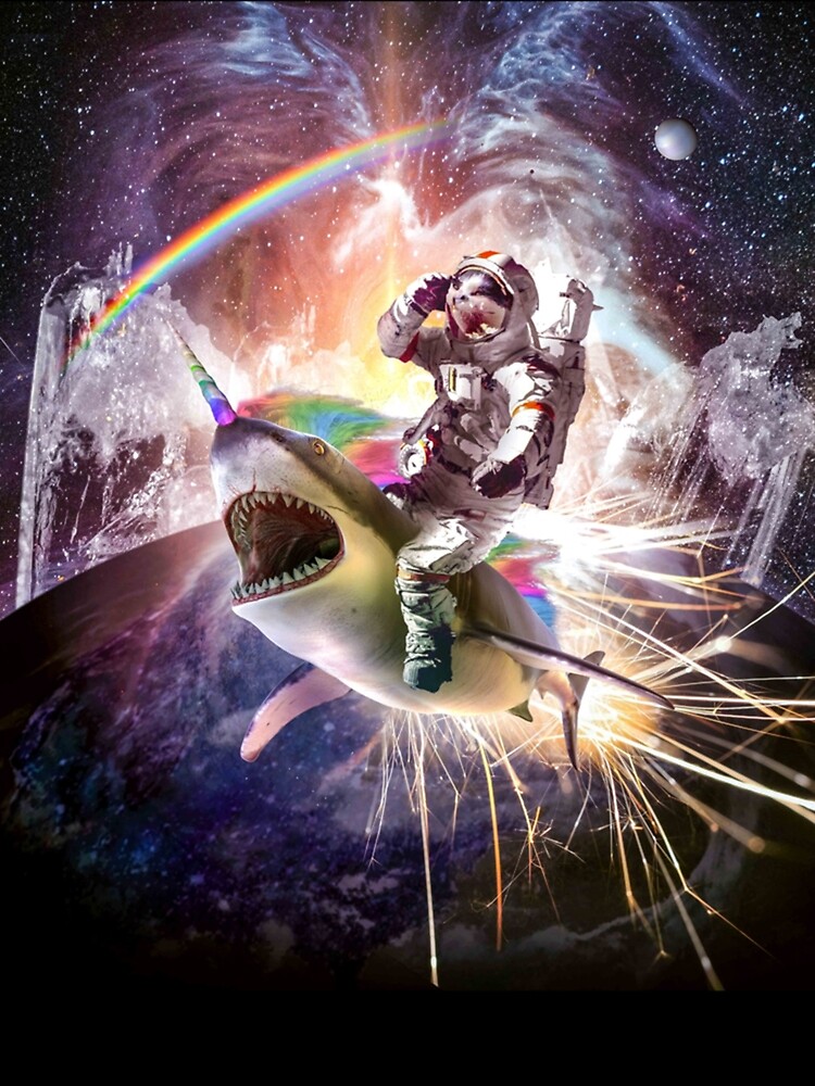 cat riding shark rainbow