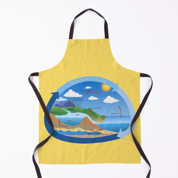 Item preview, Water Cycle, Environmental Science and Ecology designed and sold by ScienceSource.