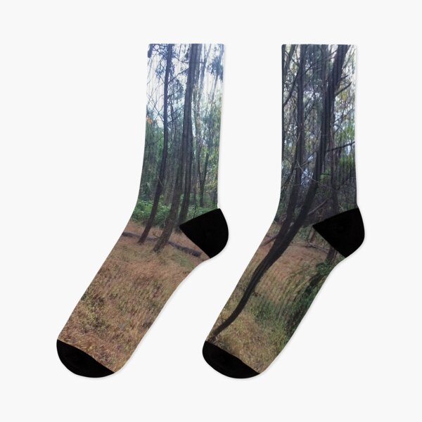Item preview, Stroll through the Forest designed and sold by CJRPics.