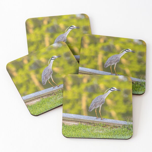 Item preview, Bird on a bulkhead designed and sold by StewieStrout.