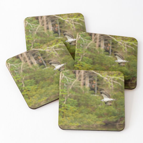 Item preview, Osprey in Flight designed and sold by StewieStrout.