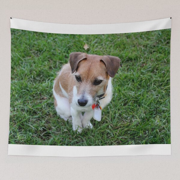 Item preview, Jack Russell Terrier Pet Dog designed and sold by FranWest.