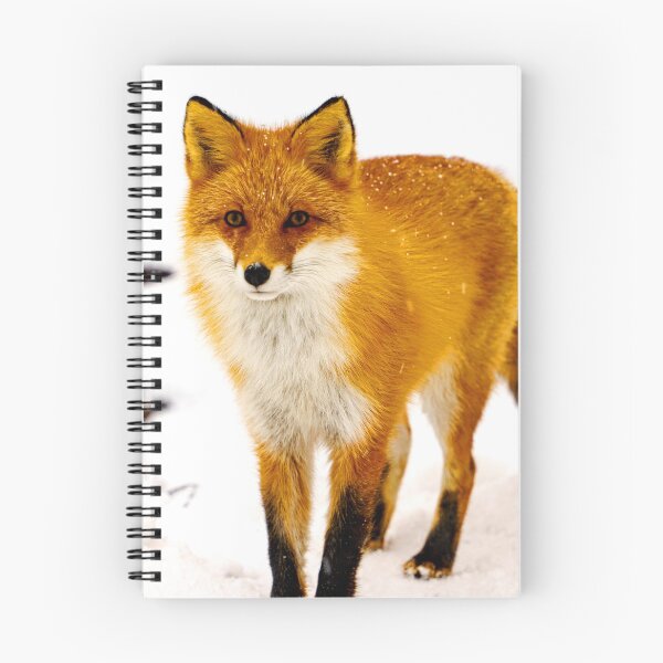 Item preview, ANIMALS #95 - Red Fox in Snow designed and sold by DEL-Productions.