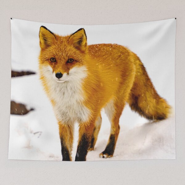 Item preview, ANIMALS #95 - Red Fox in Snow designed and sold by DEL-Productions.