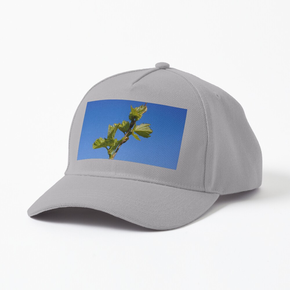 Item preview, Baseball Cap designed and sold by MagpieSprings.