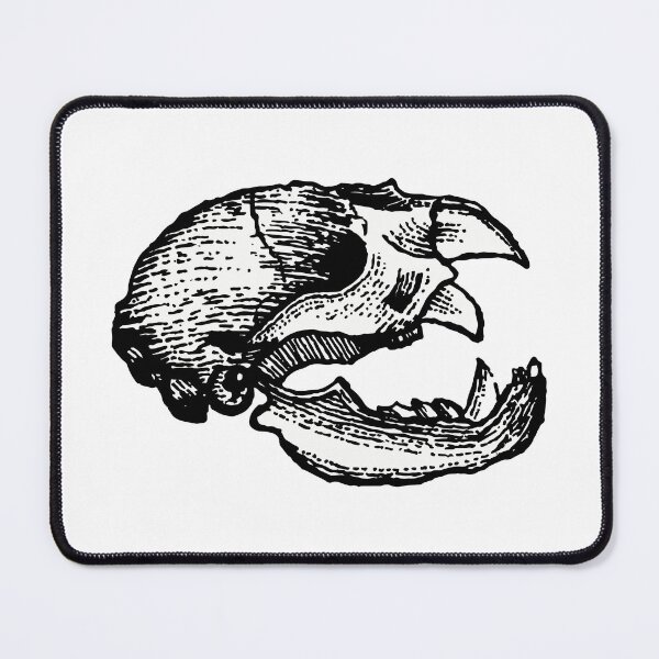 Item preview, Animal Skull designed and sold by LadyMorgan.