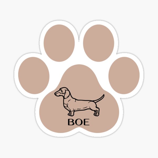 Dachshund dog in brown paw and name Boe Sticker