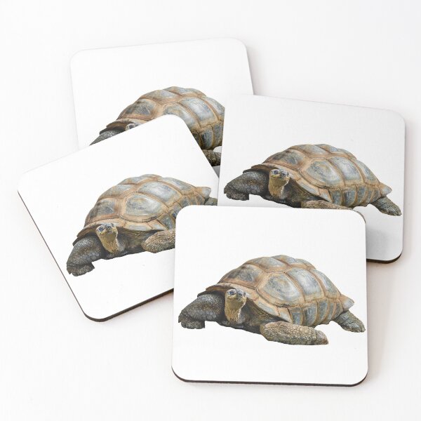 Item preview, Giant Tortoise designed and sold by Dalyndigital Photography.