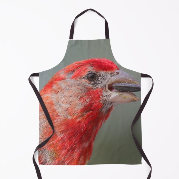 Item preview, Red-headed House Finch With Sunflower Seed designed and sold by FreelanceJim.