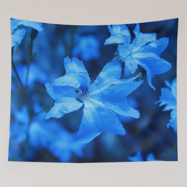 Item preview, Blue Leschenaultia - 2 designed and sold by Life Images by Jill .