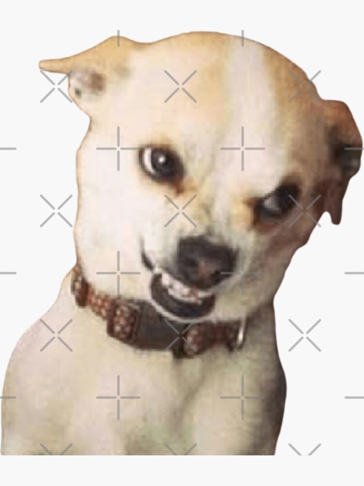 "Angry Dog Meme Sticker " Sticker for Sale by Skayne Redbubble