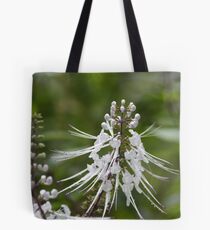 Kitty Wiskers Tote Bag